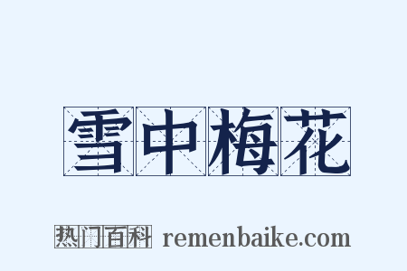 雪中梅花是什么意思的图片